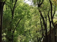 -南京晨光1865创意产业园