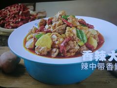 -西域胡氏大盘鸡(谈固店)