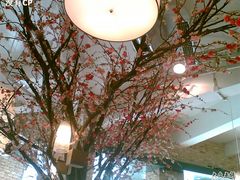 树-多乐之日(五道口店)