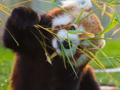 -常州淹城野生动物世界
