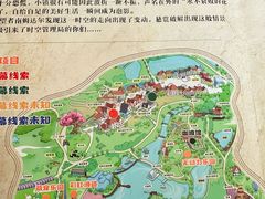 -大塘金香草谷