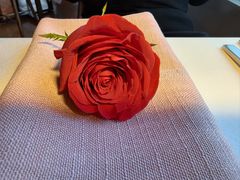 -Kathleen's Waitan 凯圣琳江景西餐厅(外滩店)