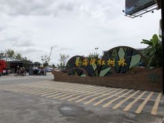 -北海金海湾红树林生态旅游区