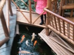 -上海大自然野生昆虫馆(东方明珠·爬宠昆虫探索中心)