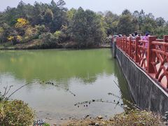 -广州白江湖森林公园