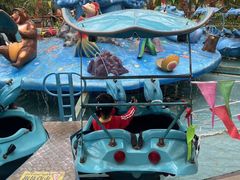 -南宫五洲植物乐园