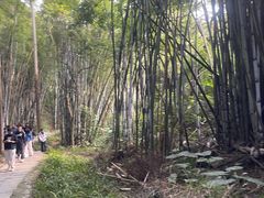 -黄埔油麻山森林公园
