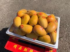 -春华海鲜城(广场西苑店)