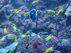 -海合安青岛极地海洋公园