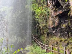 -龙苍沟森林公园