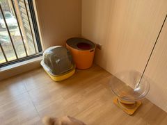 -唐小姐の私宠·宠物洗护美容·撸猫馆·购宠(周浦万达旗舰店)