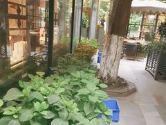 -大妙火锅·非物质文化遗产(东湖公园店)