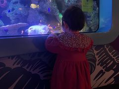 -沈阳海洋探索中心