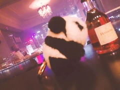 -上海外滩华尔道夫酒店