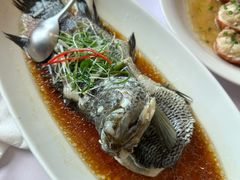 -骏莱海鲜鱼港(五角场店)