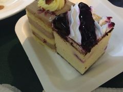 -维尔纳斯·生日蛋糕动物奶油冰淇淋蛋糕(人大店)