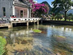 -靖西鹅泉风景区