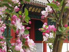 -海棠花溪(元大都城垣遗址公园)
