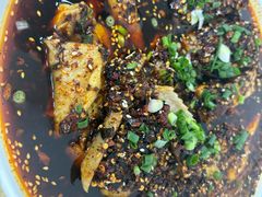 -东吴霸王兔(松青路店)