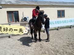 -北京群众马术培训基地