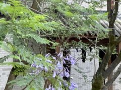 -龙潭水乡