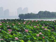 -云龙湖旅游景区