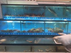 -周记老沈阳焦火鸡架