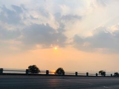 -合肥滨湖国家森林公园