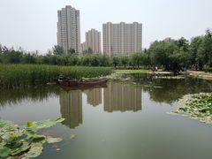 -前关湿地公园