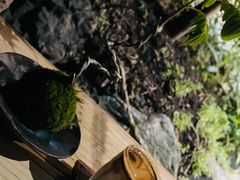 -Metal hands·铁手咖啡