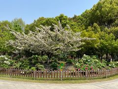 -江南大学(蠡湖校区)