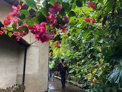 -天门沟九州驿站树上汤泉