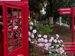 -上海鲜花港