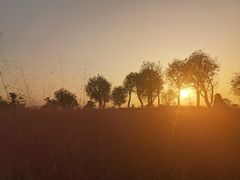 -汉长安城未央宫国家考古遗址公园