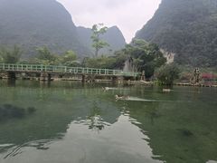-靖西鹅泉风景区