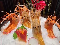 特大北极贝-芥末日本料理(打浦路铂尔曼旗舰店)