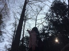 -沂蒙山旅游区云蒙景区(蒙山国家森林公园)