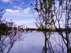 -美兰湖景区
