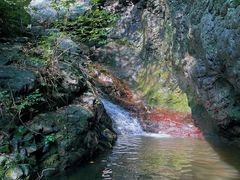 -云岫谷游猎自然风景区