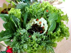 蔬菜拼盘-迪迪客欢乐火锅(斯大林路店)