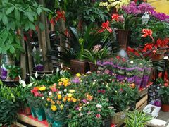 -秦美花卉(天朗·莱茵小城2期店)