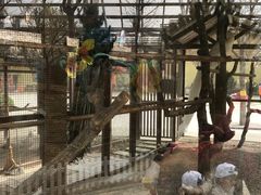 -南宫五洲植物乐园