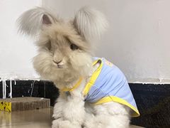 -铜瓢江湖兔火锅(水碾河社区店)