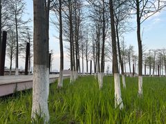 -滴水湖