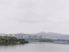 -立新湖公园