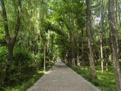 -洛阳市隋唐城遗址植物园