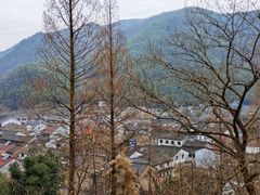 -鹿亭中村
