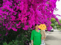 -田螺阿姨自营月嫂·育儿嫂(高新店)