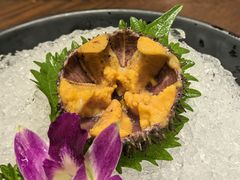 鲜活海胆-东海怡品海鲜豆捞(舟宿夜江店)