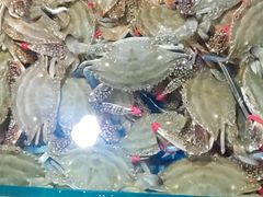 -海帮主·蒸汽海鲜青岛菜(栈桥火车站店)